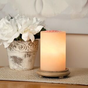 Pink Zebra Candleglow Simmer Light and Wood Grain Base